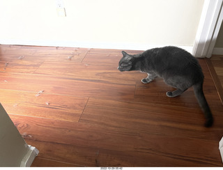 aftermath of Jane and Miss Pris  fighting