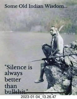 Facebook - Some Old Indian Wisdom - Silence is always better than bullshit