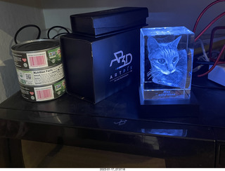 ArtPix3D - Max memory