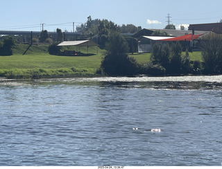 142 a1s. New Zealand - Huka Falls River Cruise