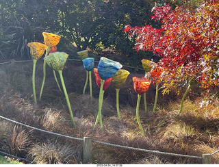 156 a1s. New Zealand - Lava Glass