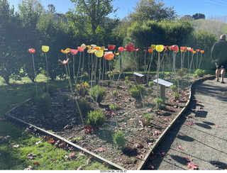 161 a1s. New Zealand - Lava Glass