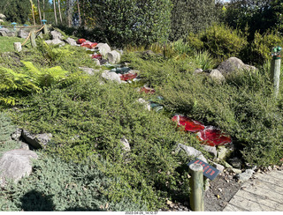 175 a1s. New Zealand - Lava Glass