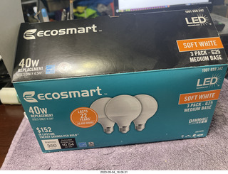 Ecosmart globe light bulbs for my bathroom