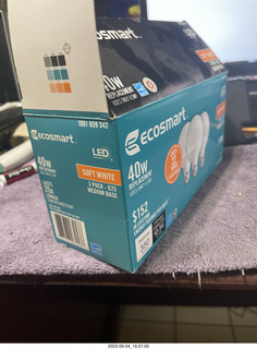 Ecosmart globe light bulbs for my bathroom