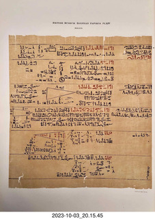 aftermath of Jane and Miss Pris  fighting