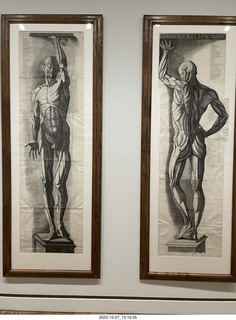 Philadelphia Museum of Art - Calder mobile