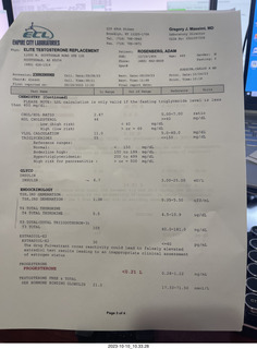 Cheltenham Cross Country CHS-XC - Curtis Arboretum - race results