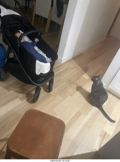 Olga & Anthony Sheppard baby shower + cake