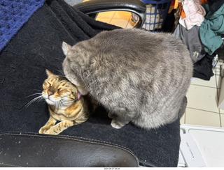 Instagram - Potato and Pickle