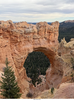 269 a2n. TF - Bryce Canyon National Park - Natural Bridge (actually an arch)