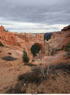 274 a2n. TF - Bryce Canyon National Park - Natural Bridge (actually an arch)