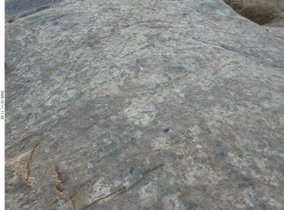 258 a2q. Utah - REA-BFE side-by-side tours