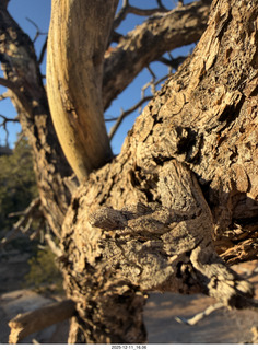 429 a2q. Utah - Canyonlands National Park - Mesa Arch