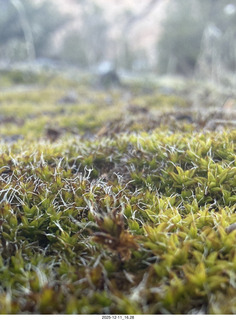 463 a2q. Utah - Canyonlands National Park