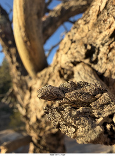 468 a2q. Utah - Canyonlands National Park
