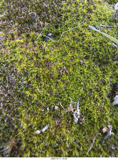 473 a2q. Utah - Canyonlands National Park