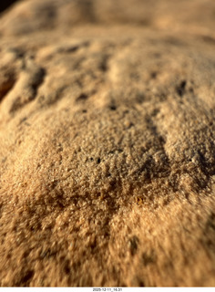 485 a2q. Utah - Canyonlands National Park