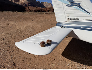 307 a2q. Utah - Hidden Splendor - muffins for lunch