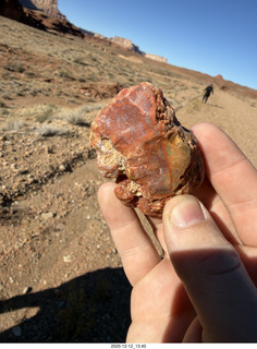 355 a2q. Utah - Hidden Splendor hike - rock