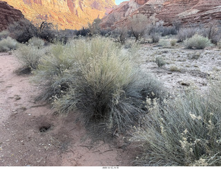 426 a2q. aerial - Utah - canyonlands