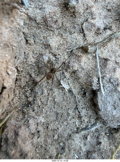 461 a2q. aerial - Utah - canyonlands