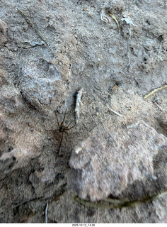 462 a2q. aerial - Utah - canyonlands