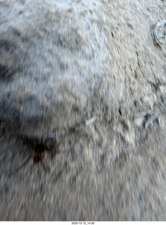 464 a2q. aerial - Utah - canyonlands